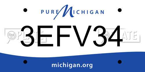 3EFV34 Michigan License Plate