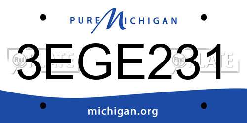 3EGE231 Michigan License Plate