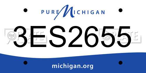 3ES2655 Michigan License Plate