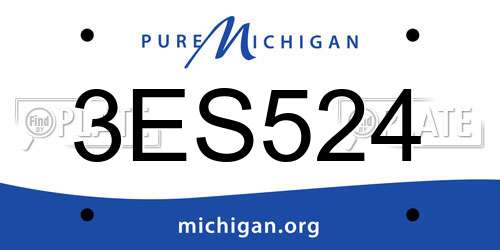 3ES524 Michigan License Plate