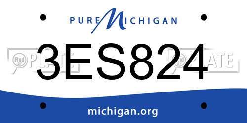 3ES824 Michigan License Plate