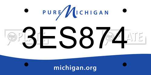 3ES874 Michigan License Plate