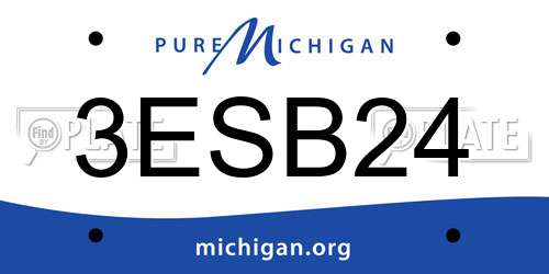 3ESB24 Michigan License Plate