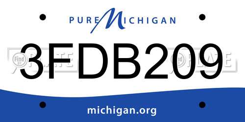 3FDB209 Michigan License Plate
