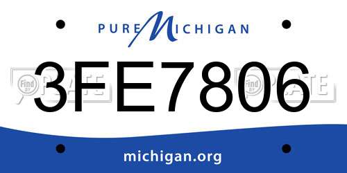 3FE7806 Michigan License Plate