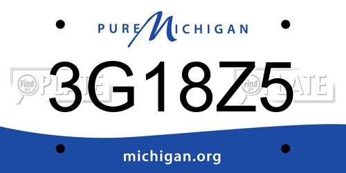 3G18Z5 Michigan License Plate