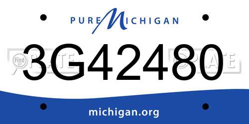 3G42480 Michigan License Plate