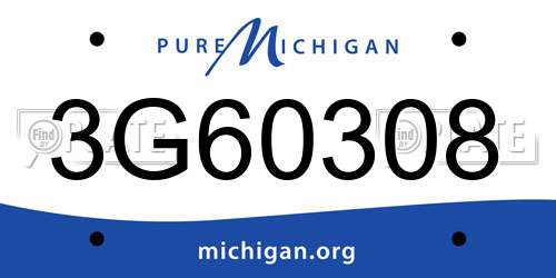 3G60308 Michigan License Plate
