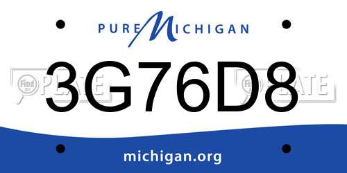 3G76D8 Michigan License Plate
