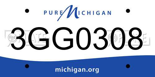 3GG0308 Michigan License Plate