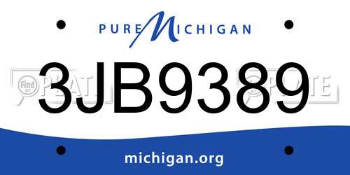3JB9389 Michigan License Plate