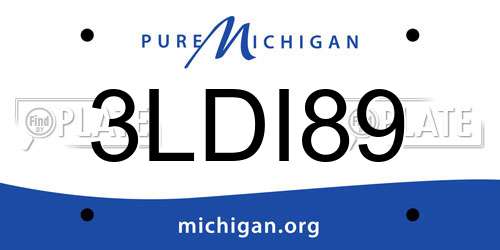 3LDI89 Michigan License Plate