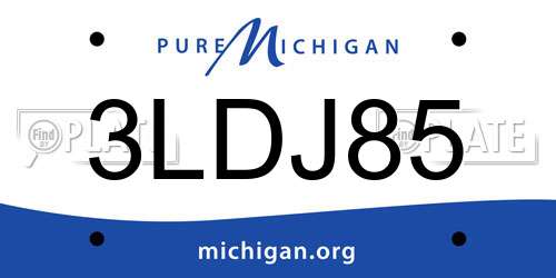 3LDJ85 Michigan License Plate