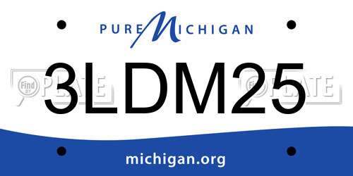 3LDM25 Michigan License Plate