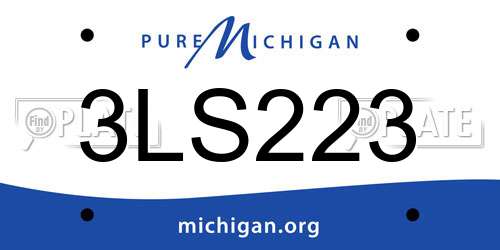 3LS223 Michigan License Plate