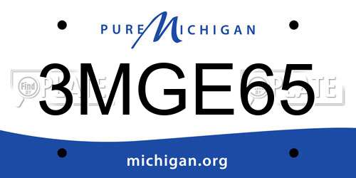 3MGE65 Michigan License Plate