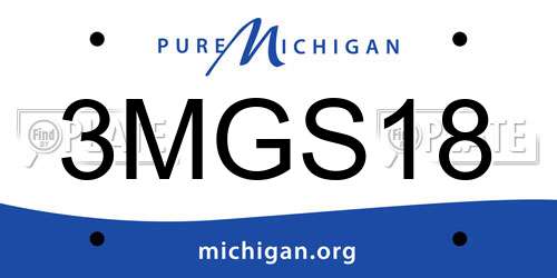 3MGS18 Michigan License Plate