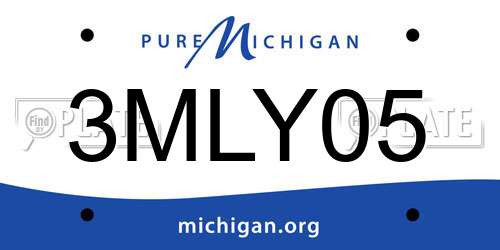 3MLY05 Michigan License Plate