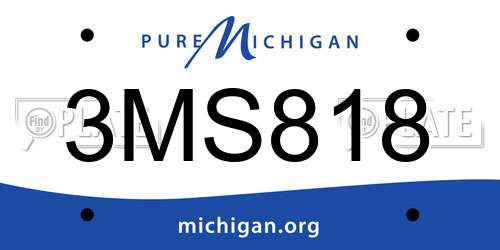 3MS818 Michigan License Plate