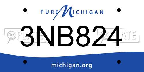 3NB824 Michigan License Plate