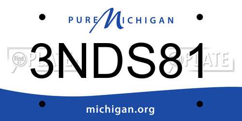 3NDS81 Michigan License Plate