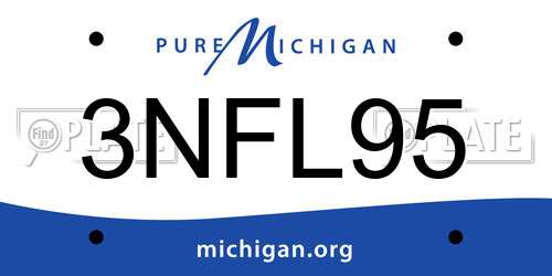 3NFL95 Michigan License Plate