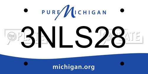 3NLS28 Michigan License Plate