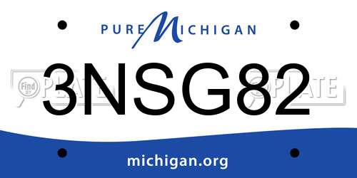 3NSG82 Michigan License Plate