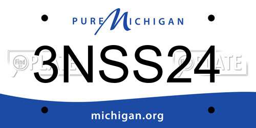 3NSS24 Michigan License Plate