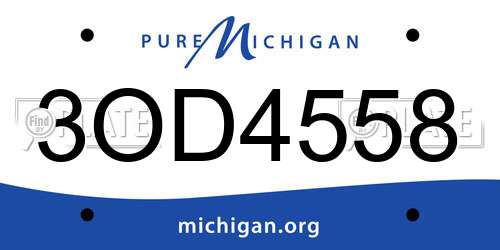 3OD4558 Michigan License Plate