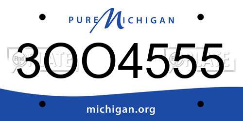 3OO4555 Michigan License Plate
