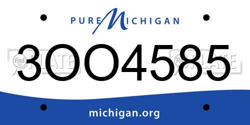 3OO4585 Michigan License Plate