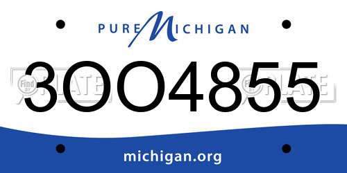 3OO4855 Michigan License Plate