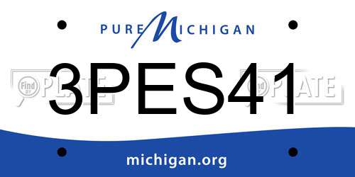 3PES41 Michigan License Plate