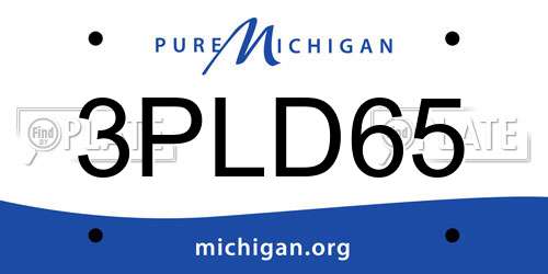 3PLD65 Michigan License Plate