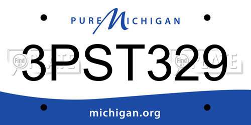 3PST329 Michigan License Plate