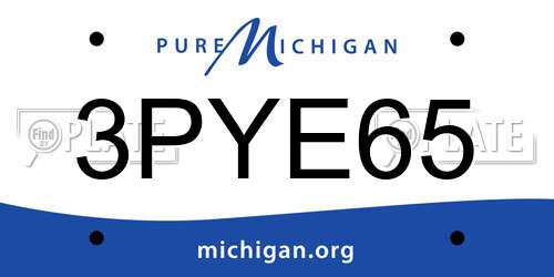 3PYE65 Michigan License Plate