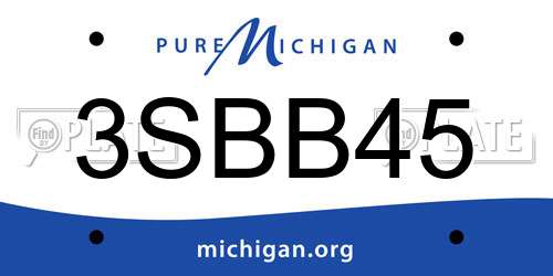 3SBB45 Michigan License Plate