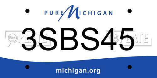 3SBS45 Michigan License Plate