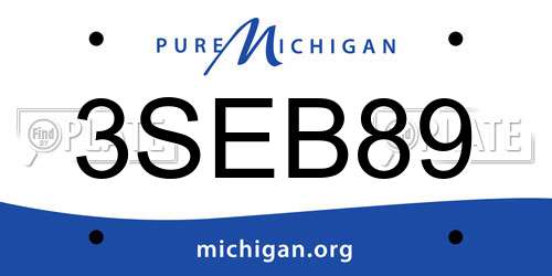 3SEB89 Michigan License Plate