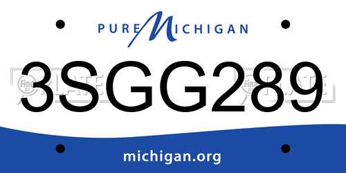 3SGG289 Michigan License Plate