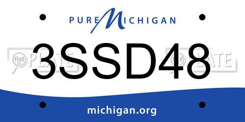 3SSD48 Michigan License Plate