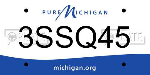 3SSQ45 Michigan License Plate