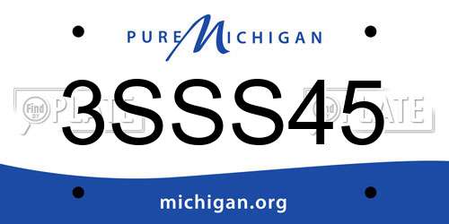 3SSS45 Michigan License Plate