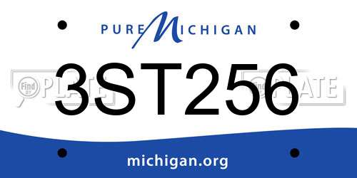 3ST256 Michigan License Plate