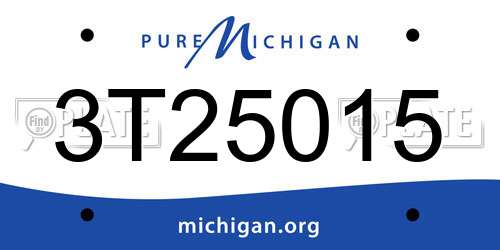 3T25015 Michigan License Plate