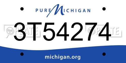 3T54274 Michigan License Plate