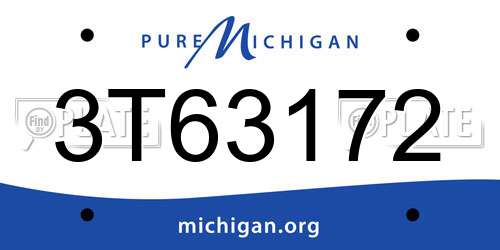 3T63172 Michigan License Plate