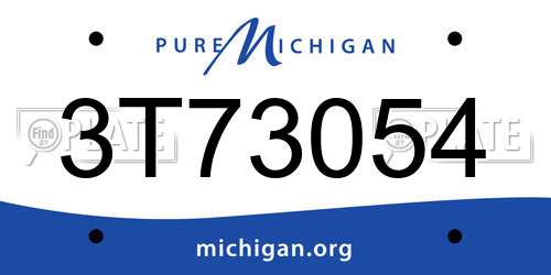 3T73054 Michigan License Plate