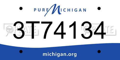 3T74134 Michigan License Plate